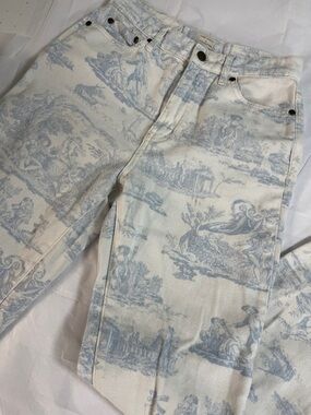Laura Ashley x Urban Outfitters size 26 Light Blue Toile Skinny Jeans cherub